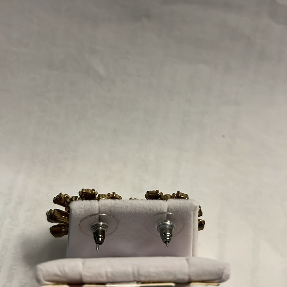 Host pick!!!Costume Jewlery Earings - Picture 3 of 4